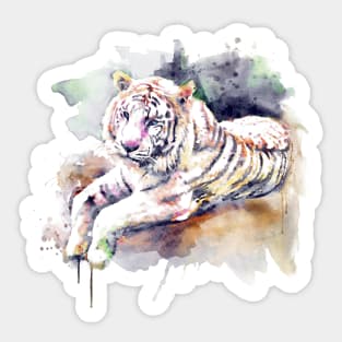 Resting and Alert Blue Eyed White Tiger Sticker